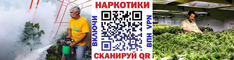Купить наркотики цена Терек ГАШИШ A-PVP Мефедрон АМФЕТАМИН МАРИХУАНА