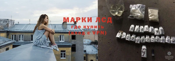 дживик Майский