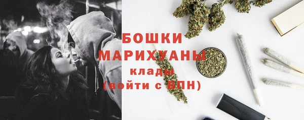 дживик Майский