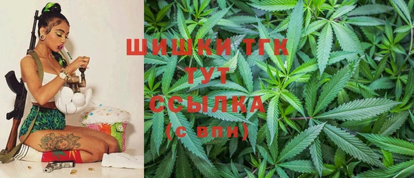 дживик Майский