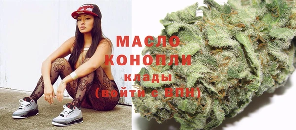 дживик Майский