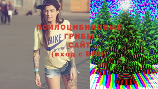 дживик Майский