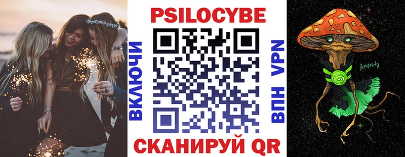 Псилоцибиновые грибы Psilocybine cubensis  сколько стоит  Терек 